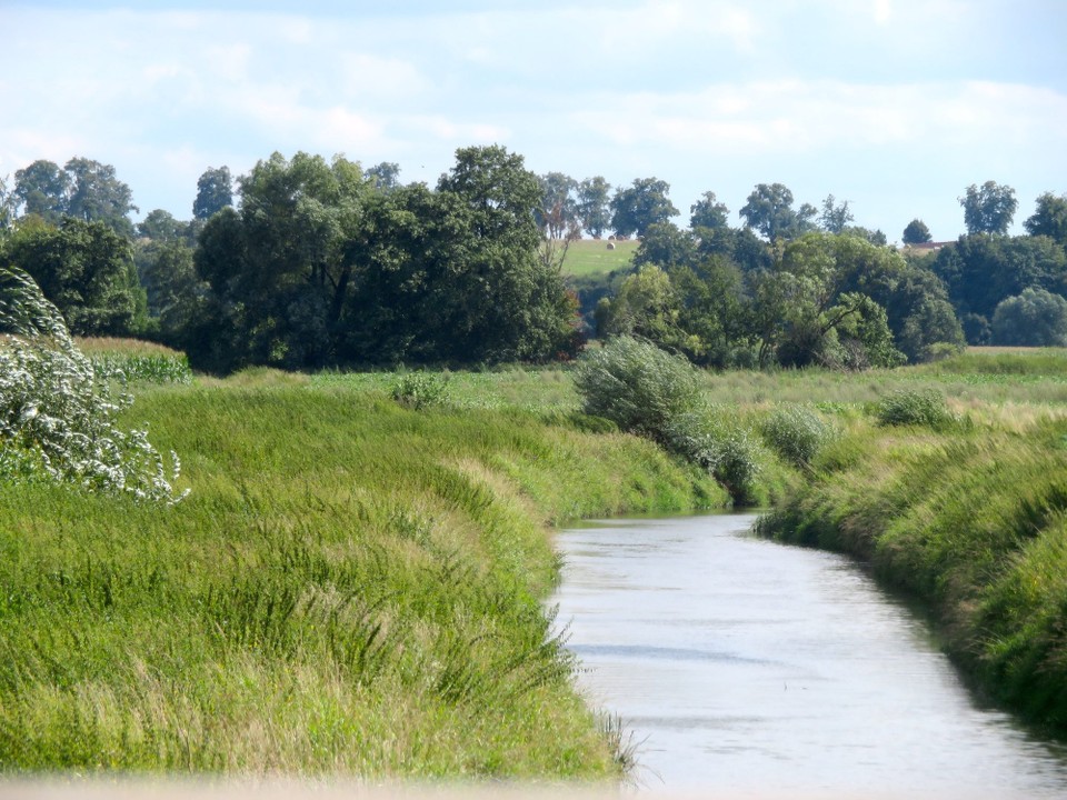 Polen - Moschen - 