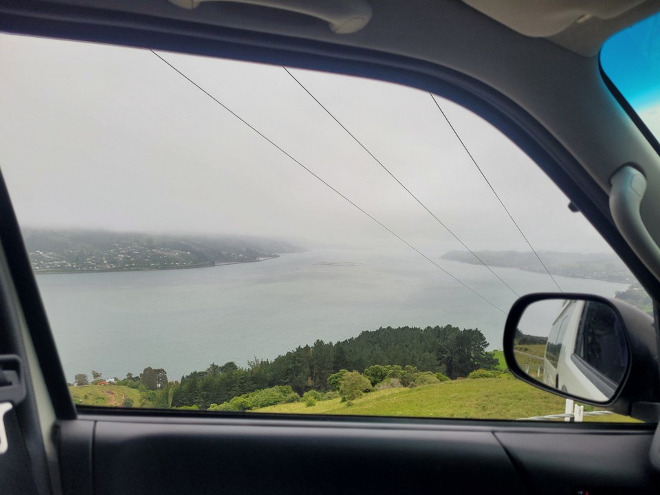 Neuseeland - Otago Peninsula - 