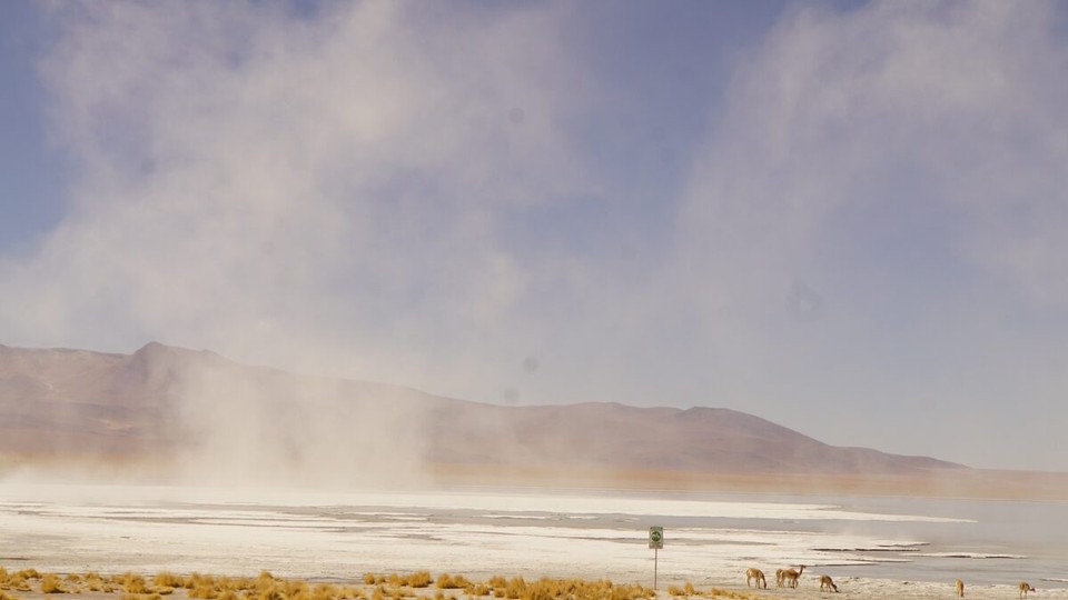 Chile - San Pedro de Atacama - 