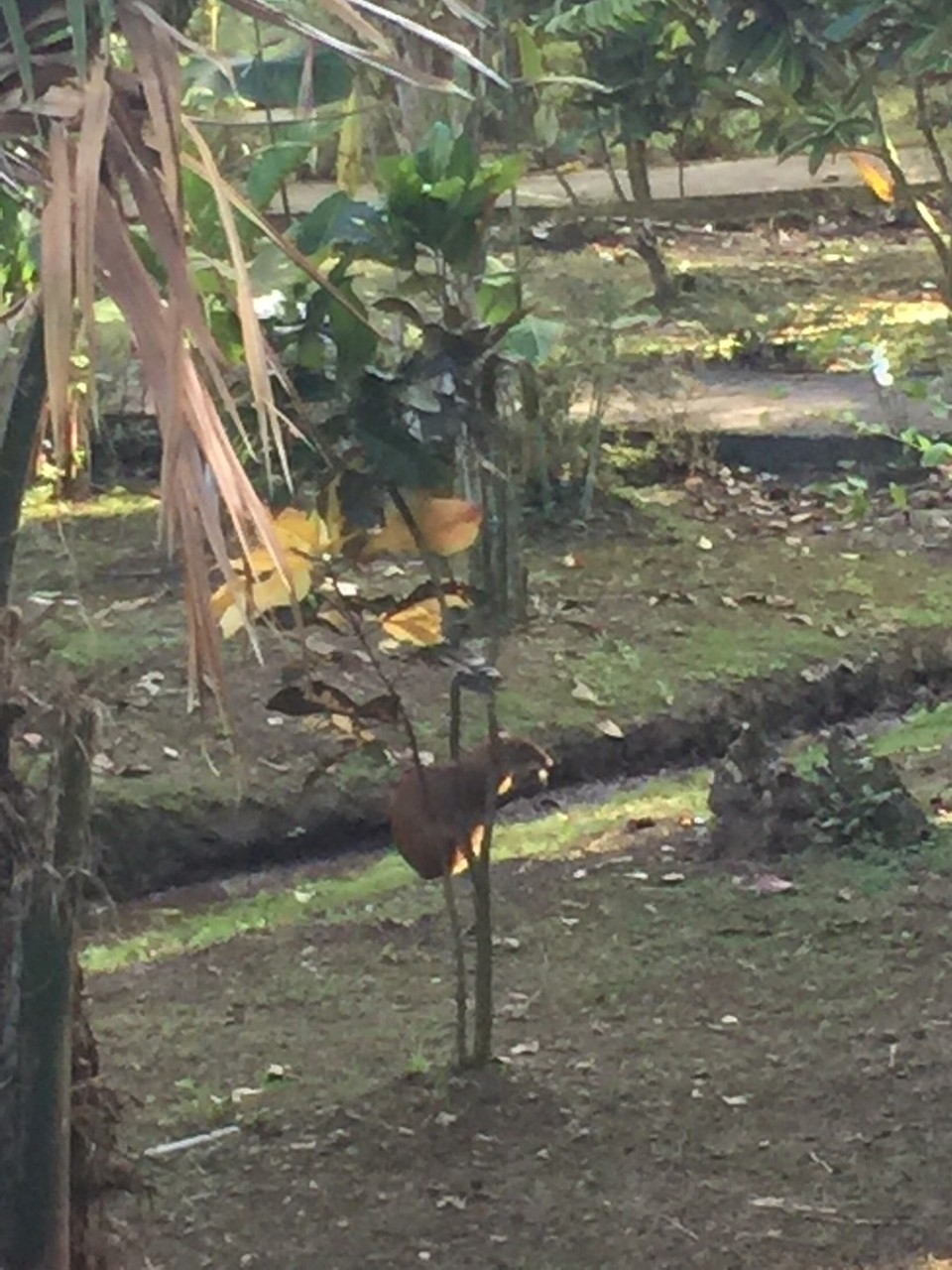 Costa Rica - Talamanca - 