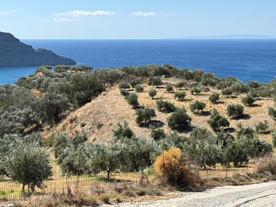 Griechenland - Myrthios - 