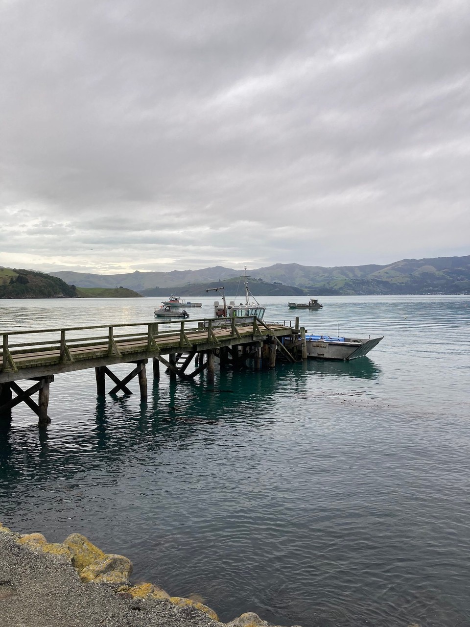 Neuseeland - Duvauchelle - 