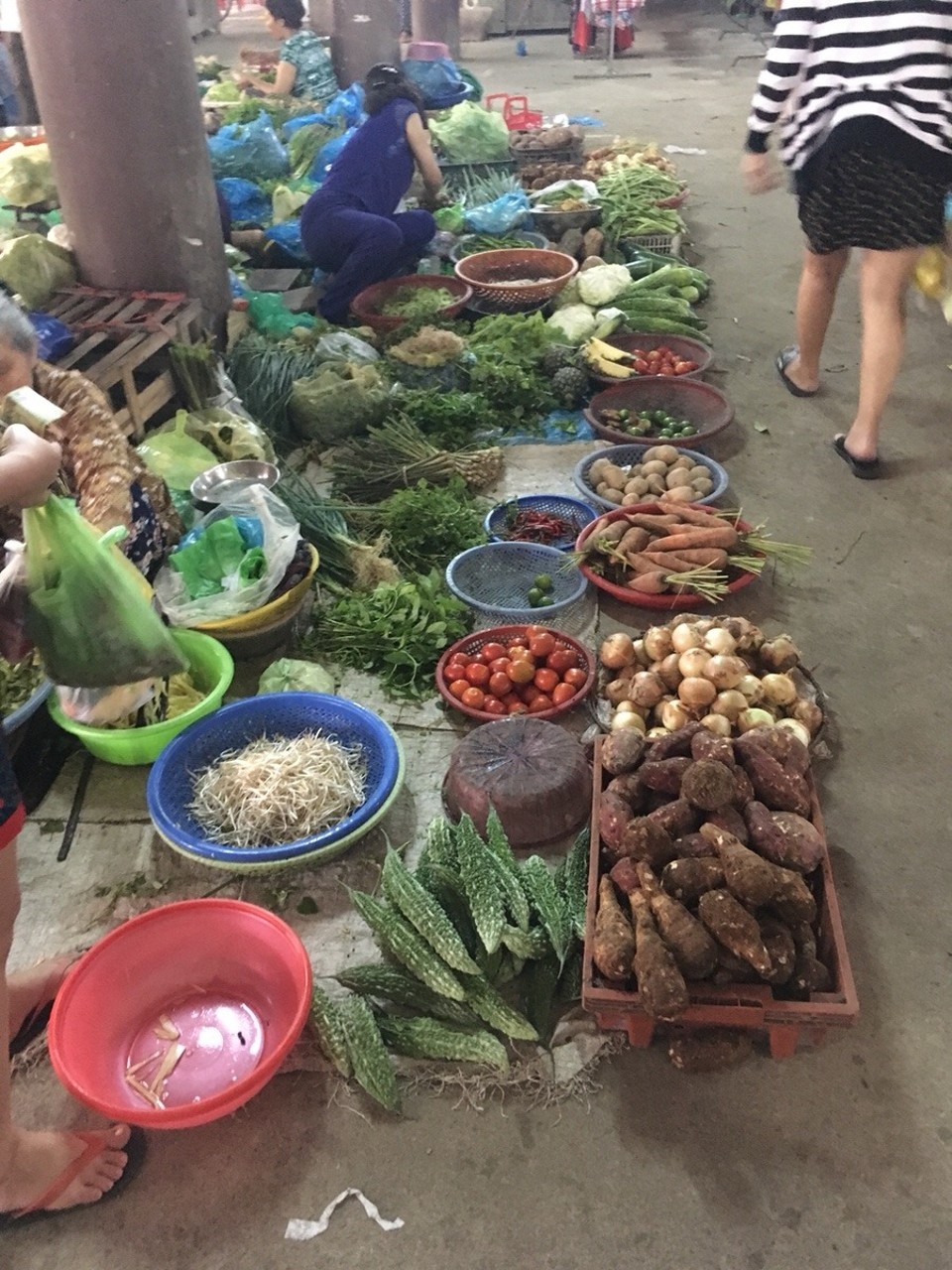 Vietnam - Hội An - 