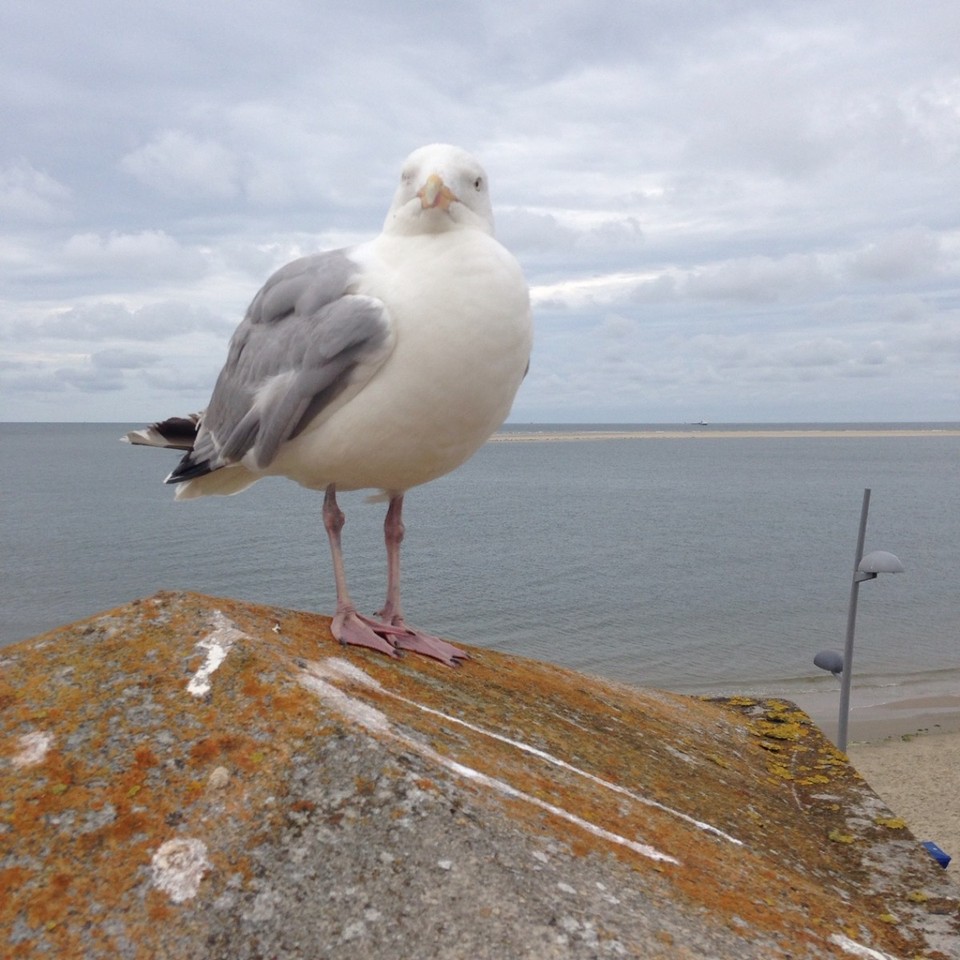 Deutschland - Borkum - keep smiling :)