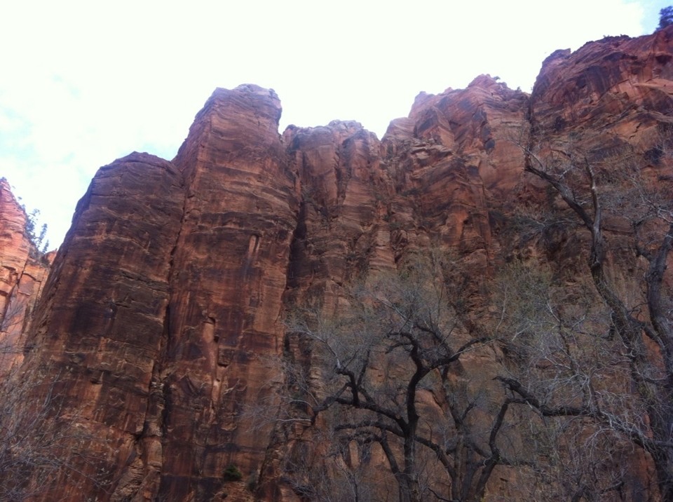 Egyesült Államok - Springdale - 