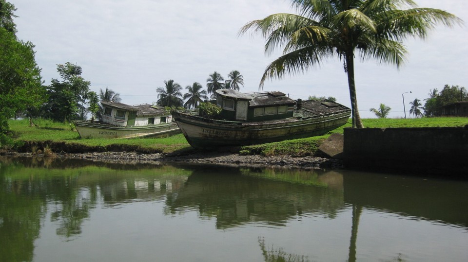 Costa Rica - Tortuguero - 