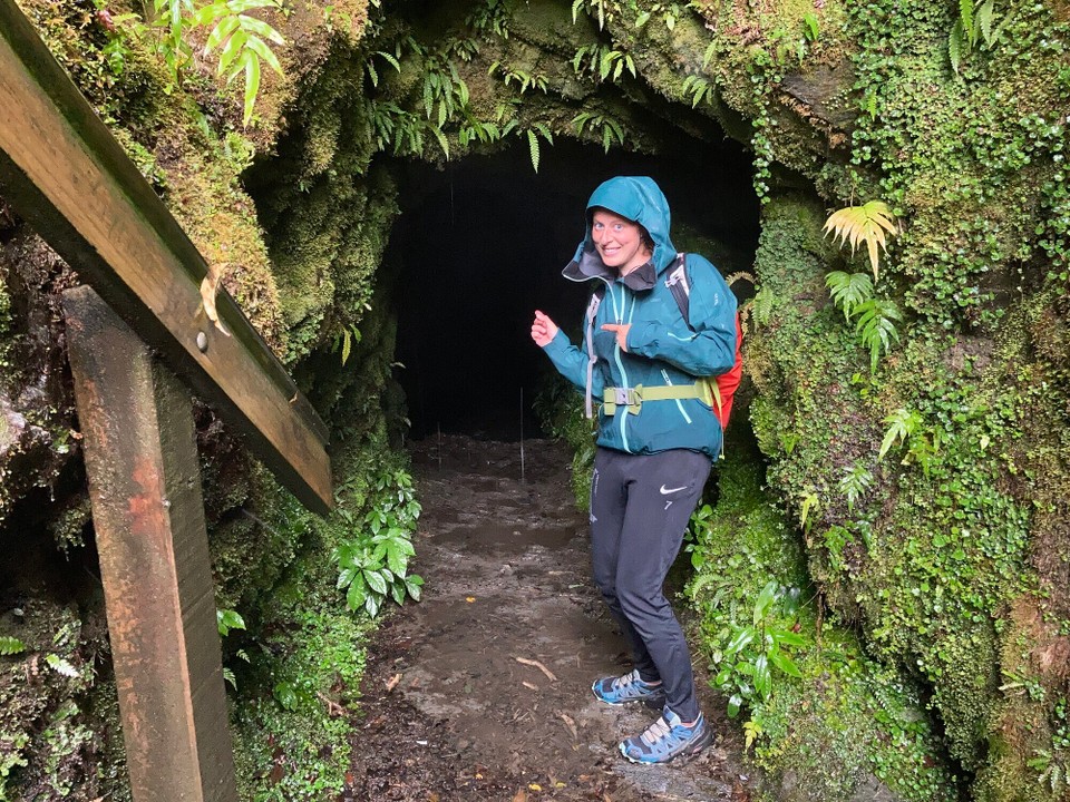 Neuseeland - Westland National Park - 