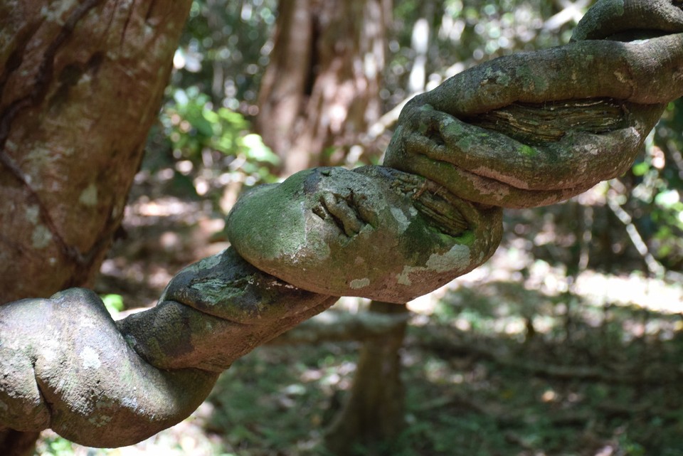 Australien - Iluka - 