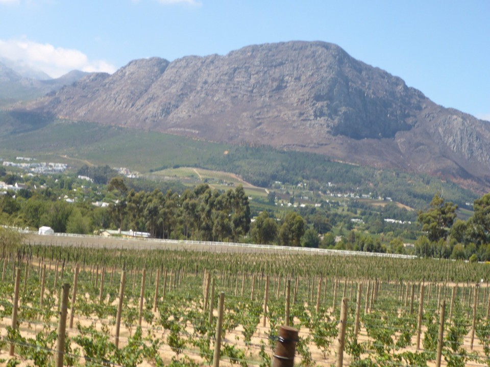Südafrika - Stellenbosch - 