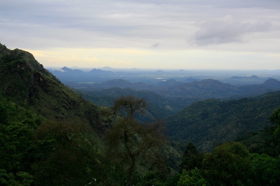 Sri Lanka - Ella - 