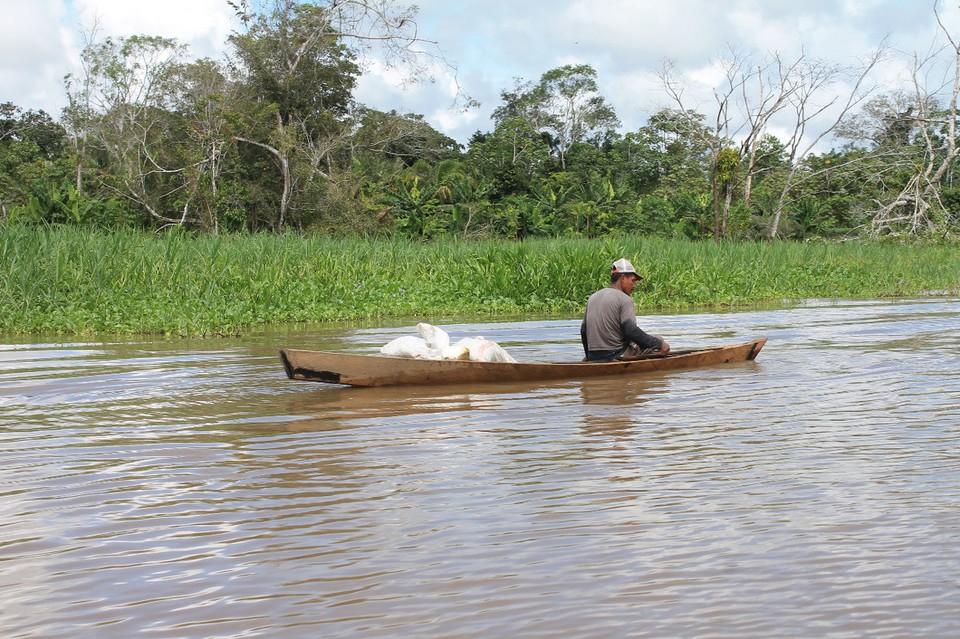 unbekannt - Rio Javari - 