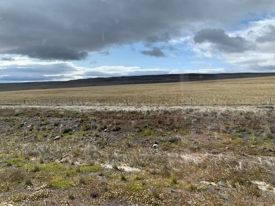 Argentinien - El Calafate - 