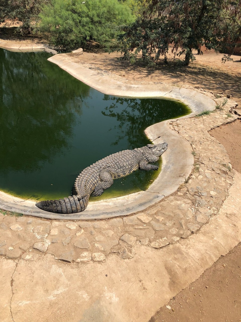 Namibia - Otjiwarongo - 
