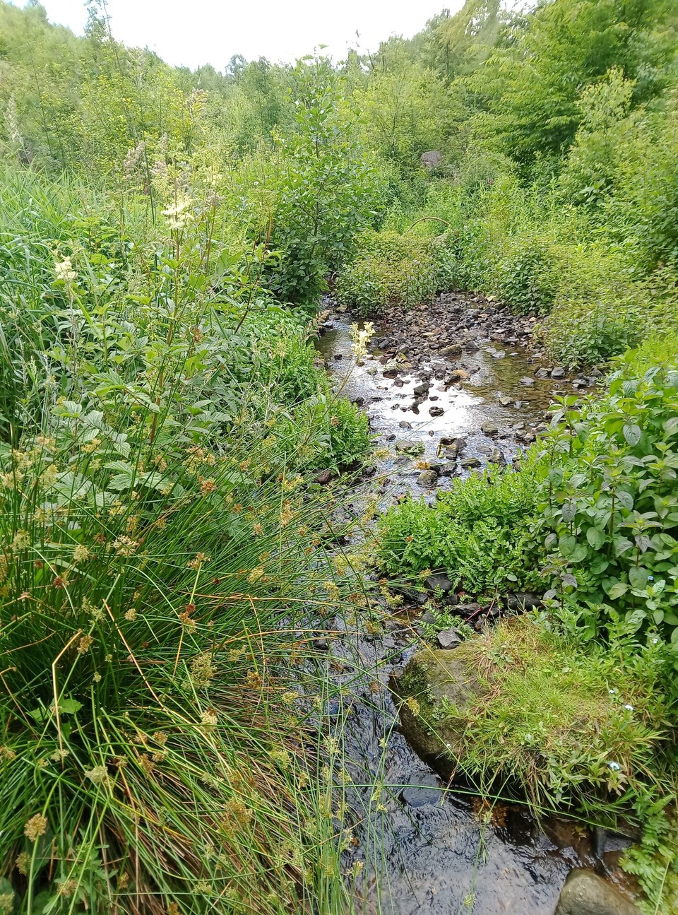 Deutschland - Horn-Bad Meinberg - 