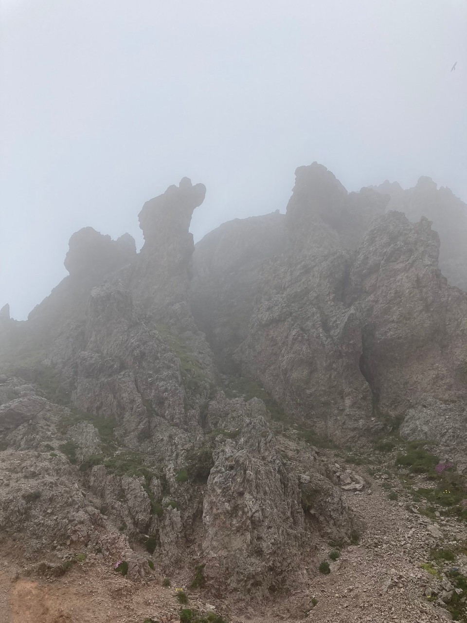 Ort bestimmen … -  - Figuren im Nebel 