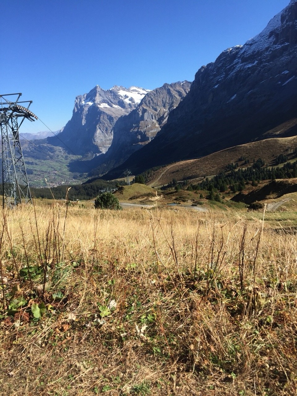 Schweiz - Grindelwald - 