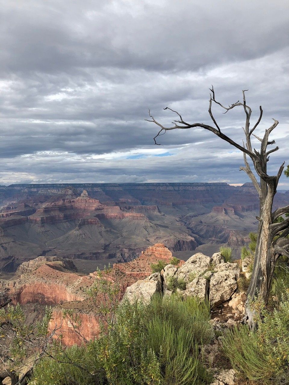 Vereinigte Staaten - Grand Canyon - 
