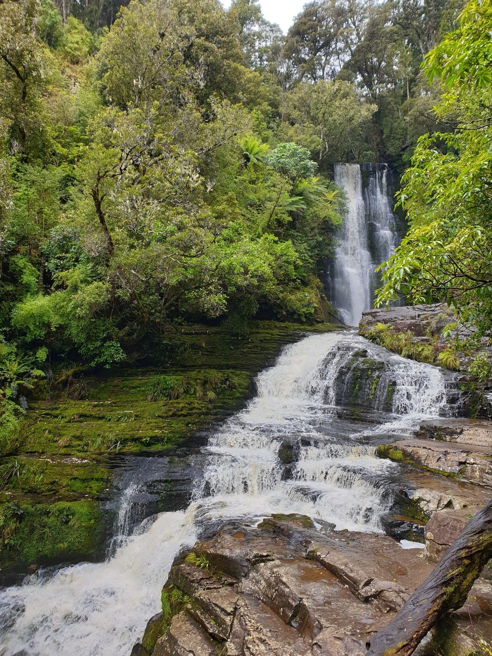Neuseeland - Invercargill - 