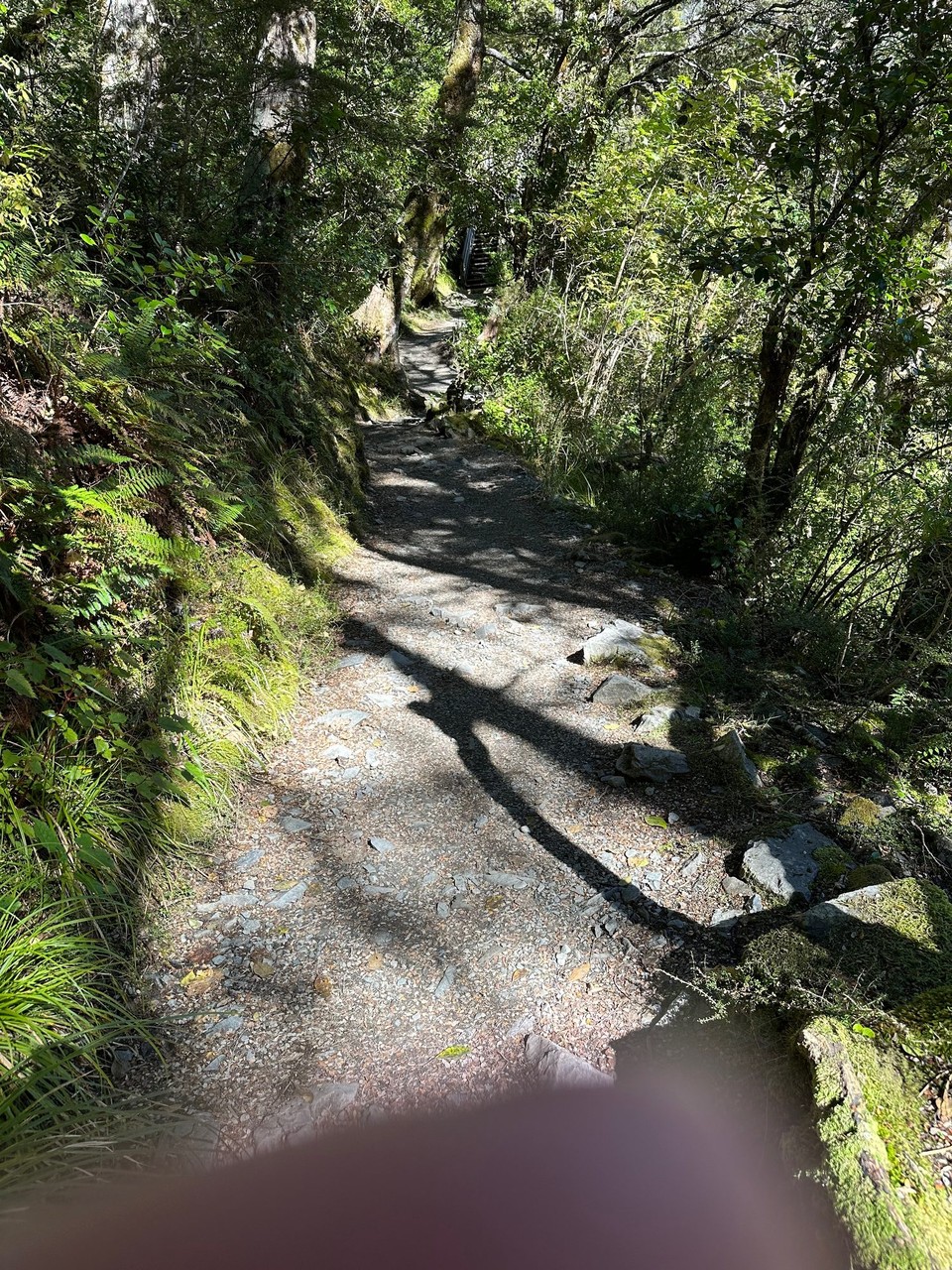 Neuseeland - Arthur’s Pass - 