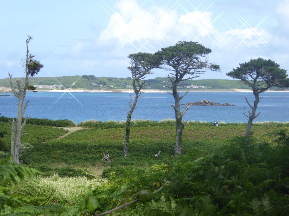 United Kingdom - Isles Of Scilly - On the upper path there are lovely views over to St Martin’s. 
