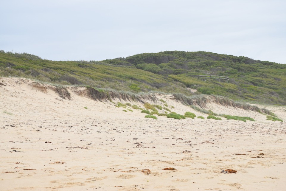 Australien - Lake Macquarie  - 