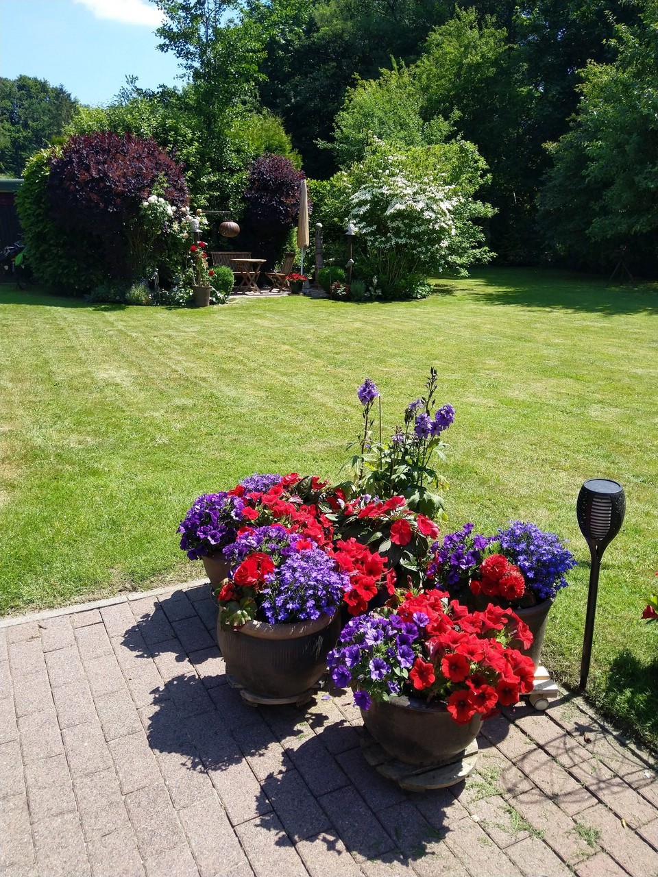 Deutschland - Hamburg - Danke, liebe Nana, liebe Anne, für ein paar schöne Stunden mit Euch im wundervollen Garten.