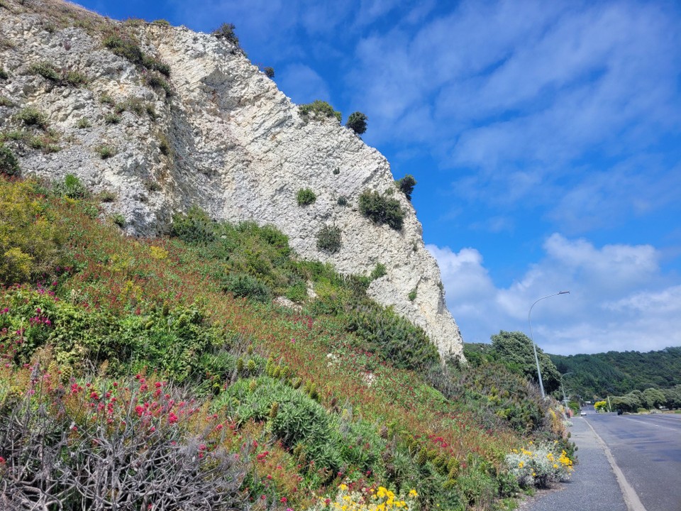 Neuseeland - Kaikoura - 