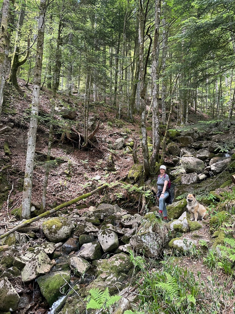 Frankreich - Kruth - 