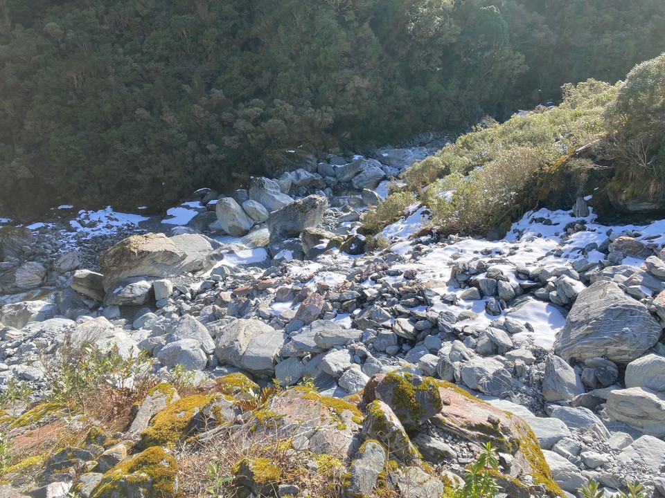 Neuseeland - Whataroa - Es wird immer weißer!