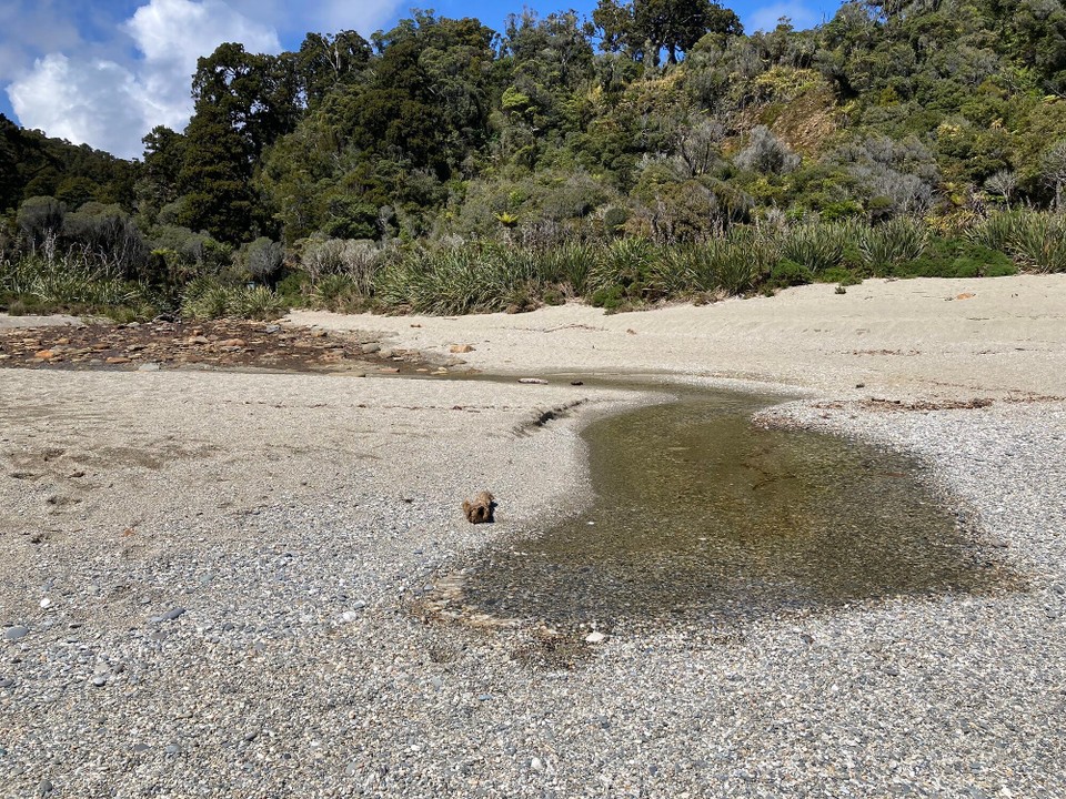 Neuseeland -  - Komisch der Fluss hört hier im Sand einfach auf 😳