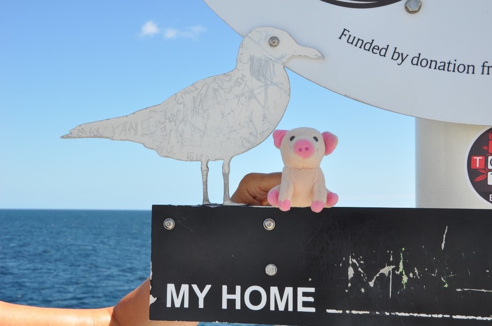 Australien - Margaret River - Das ist nicht Ilsebilse
