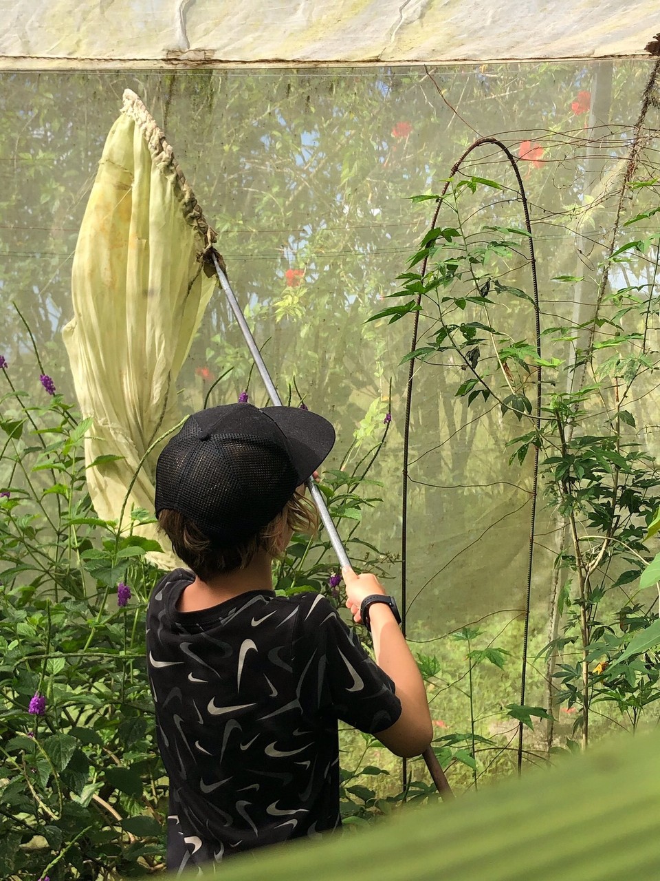 Costa Rica - Upala - Weil man die Tür manchmal öffnete kam es vor das ein paar im einem anderen Gehege waren. Dann hiess es fangen! Es war gar nicht so leicht sie waren sehr schnell!