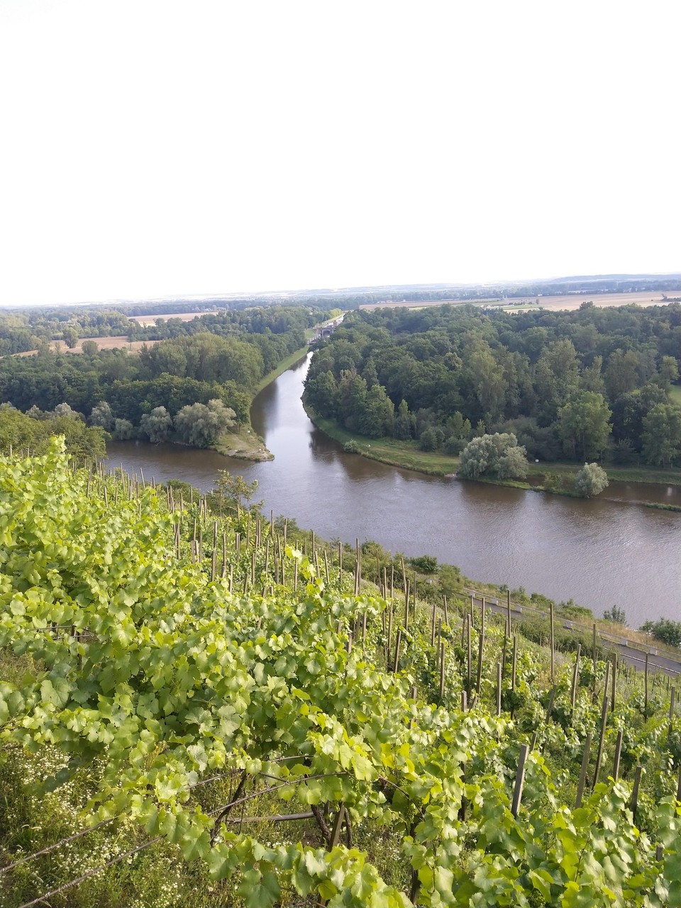 Tschechien - Mělník - ..... biege ich genau hier ab. Links Elbe, rechts Moldau nach Prag. Ich melde mich mit dem Abschluss-Selfie von der Karlsbrücke.