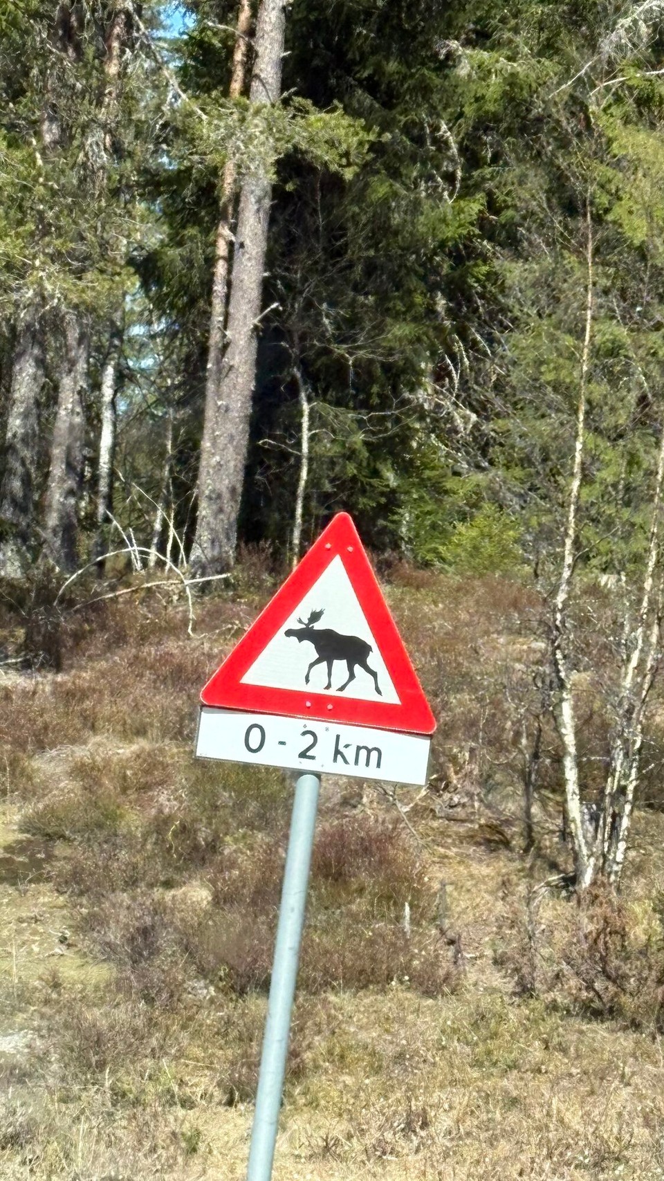 Norwegen - Dalen - Mal wieder nur Schilder aber keine Elche 