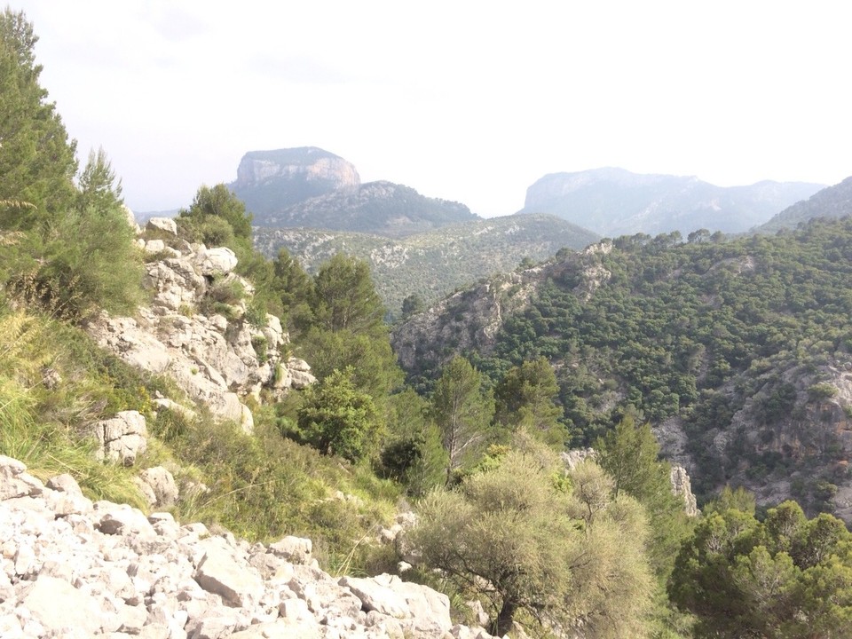 Spanien - Escorca - 