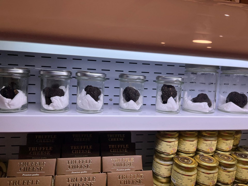 Kroatien - Grožnjan - Schwarze Trüffeln