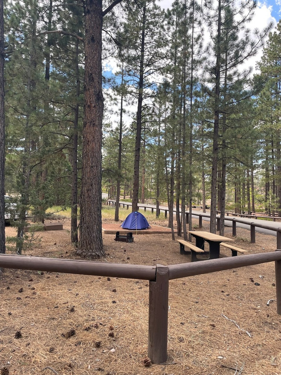 Vereinigte Staaten - Bryce Canyon - Wo mer ahcho sind hemmer denn zersch mal wieder s‘Zelt ufgstellt. Es esch schön wieder im Zelt z‘schlafe und ufem Camping si. De Camping esch chli gmüedlicher als s‘Hotelzimmer. Mier chönd besser nochli verusse si und dusse am Tisch Znacht ässe. Im Hotel hemmer amix im Bett gässe.😂😂
