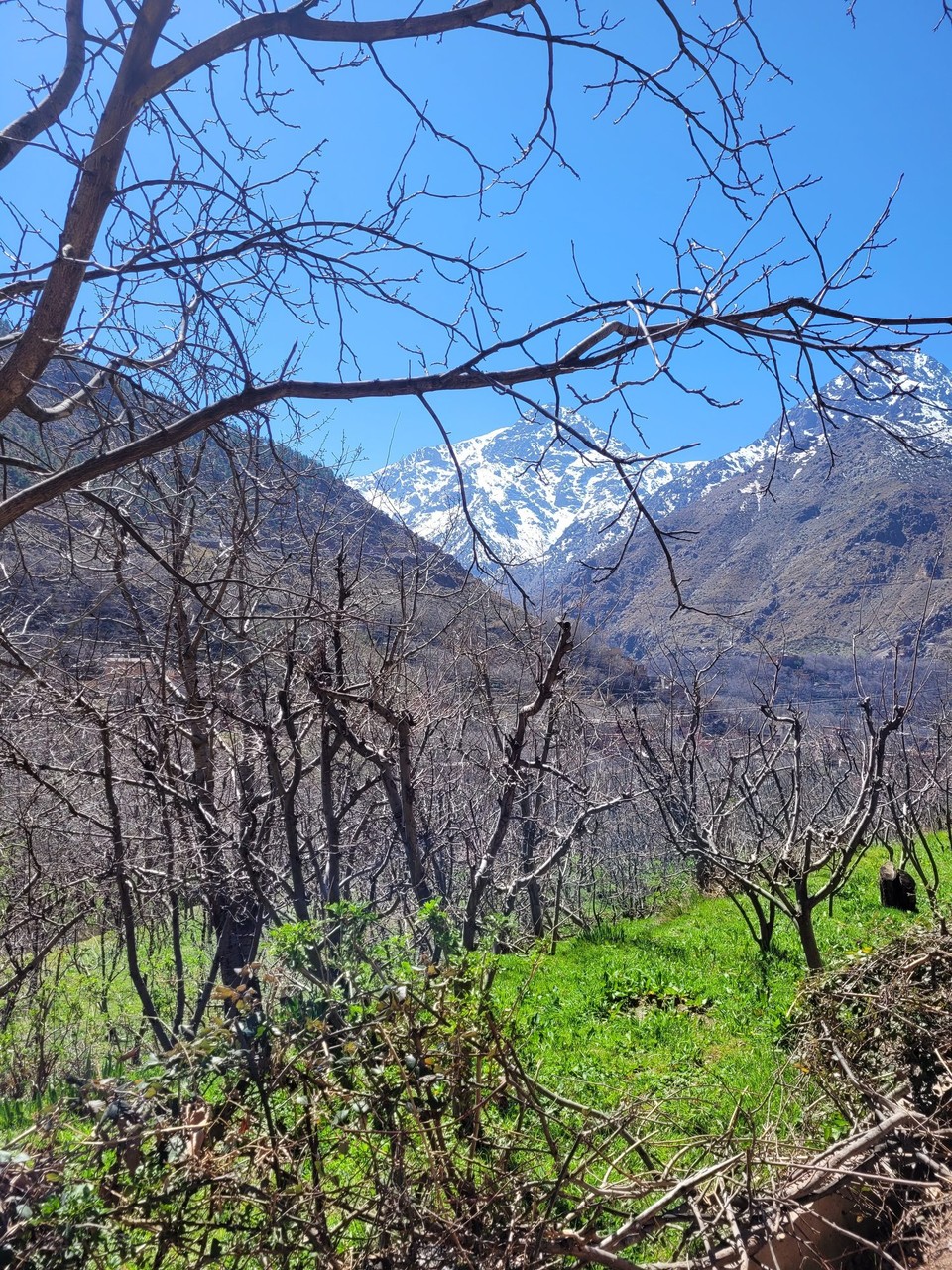 Marokko - Agafay - 