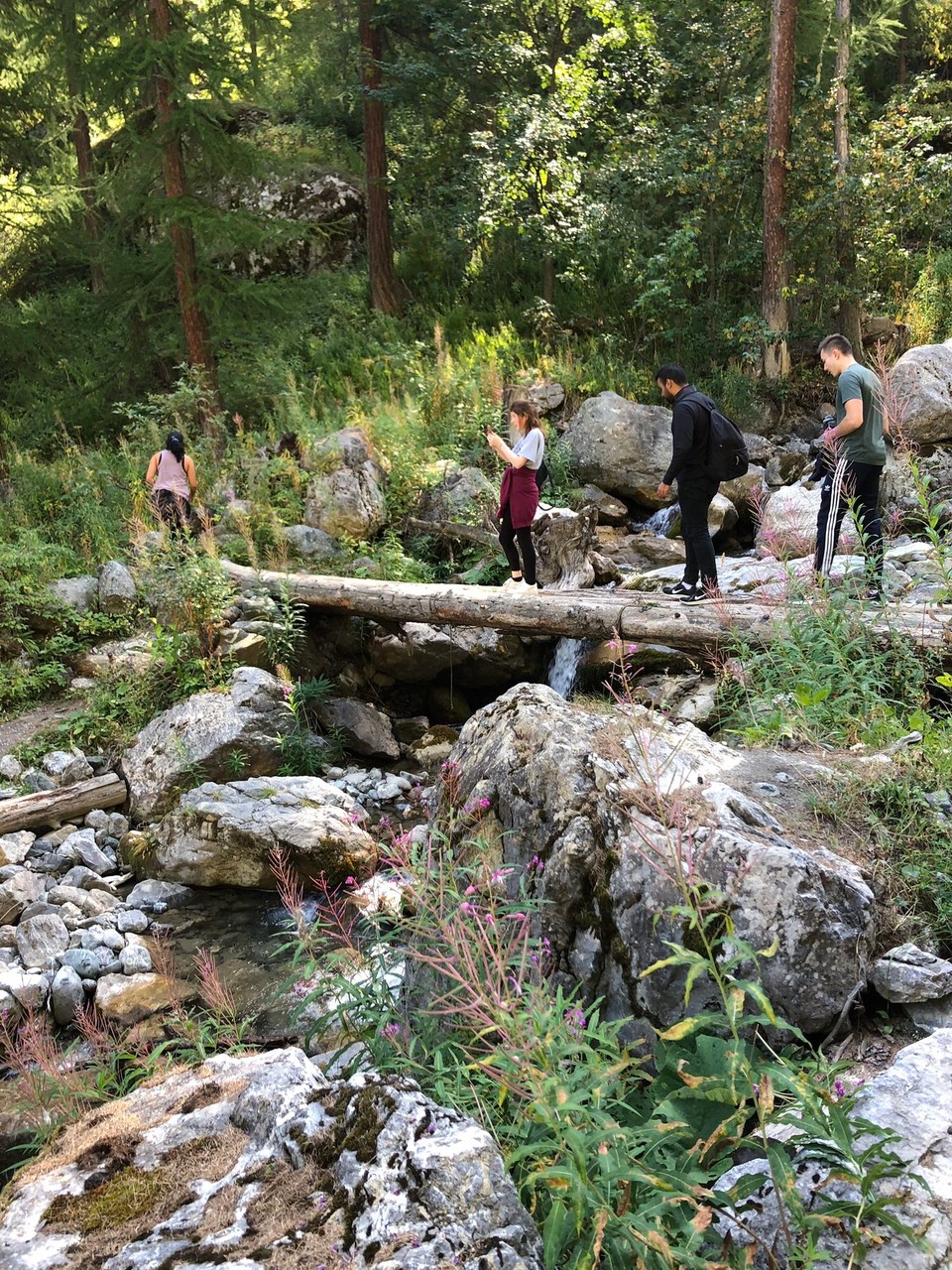 Frankreich - La Salle-les-Alpes - 