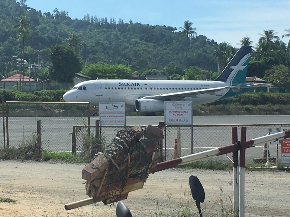 Thailand - Koh Samui - Und die hier gehen