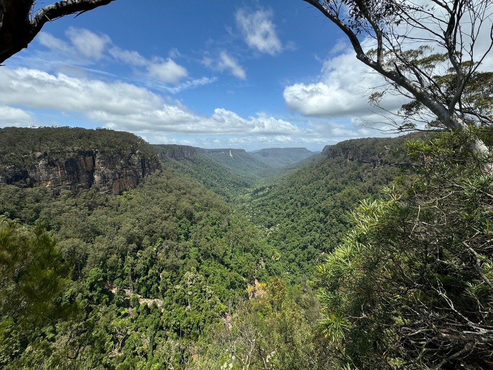 Australien - Kangaroo Valley - Morton Nationalpark