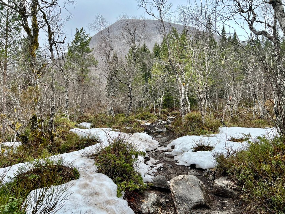 Norwegen - Elnesvågen - 