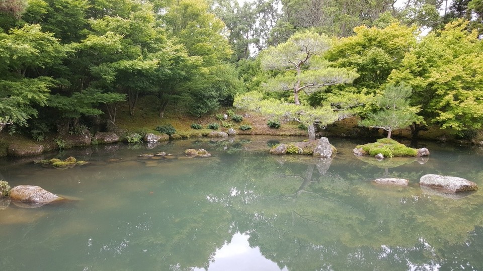 Neuseeland - Hamilton - Der japanische Garten.
