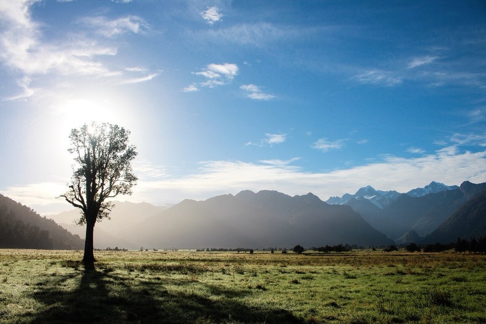 Neuseeland - Fox Glacier - 