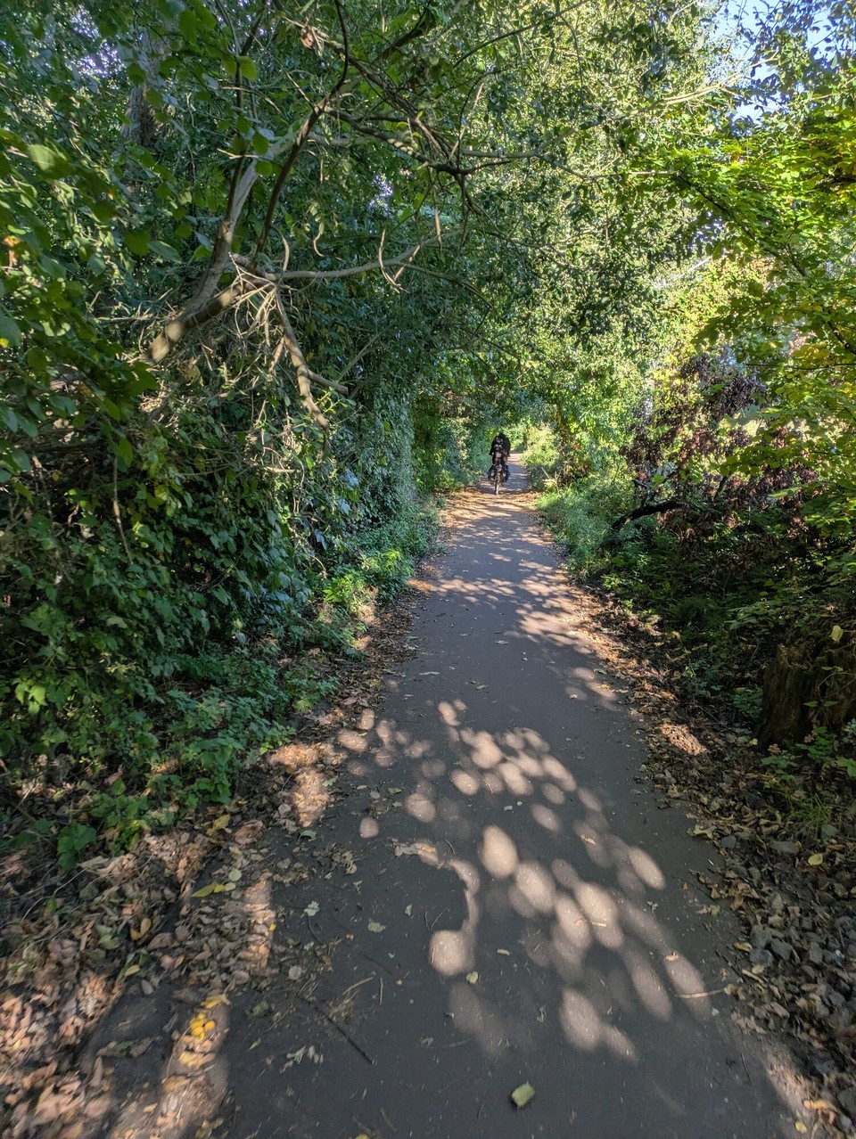 Deutschland - Brandenburg an der Havel - Das war schlau, weil nun wieder nur Strecke gemacht wurde und nicht eine einzige Restauration am Weg lag. 