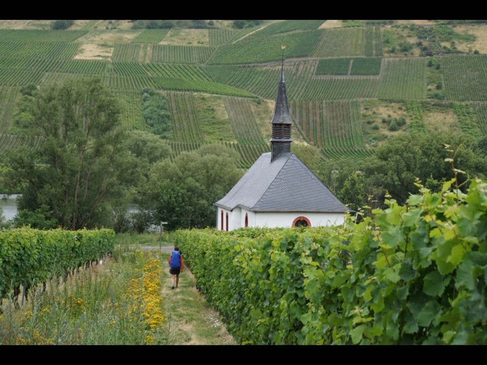 Deutschland - Neumagen-Dhron - 