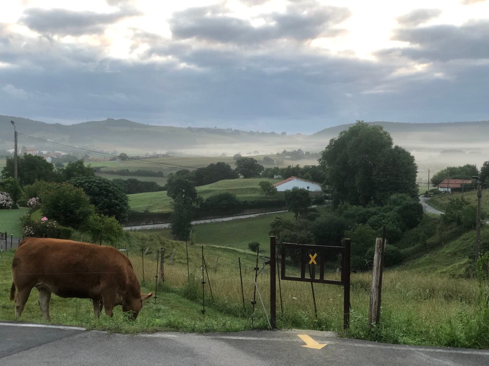 Spanien - Santander - Auf dem Weg zur Küste ….
