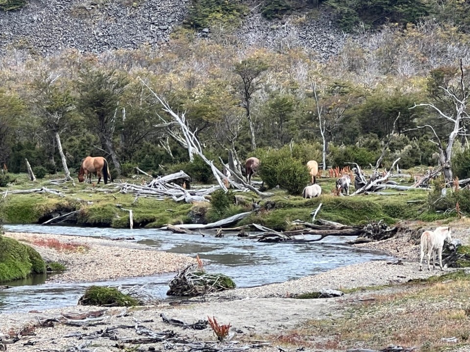 Argentina - Ushuaia - Tierra Del Fuego