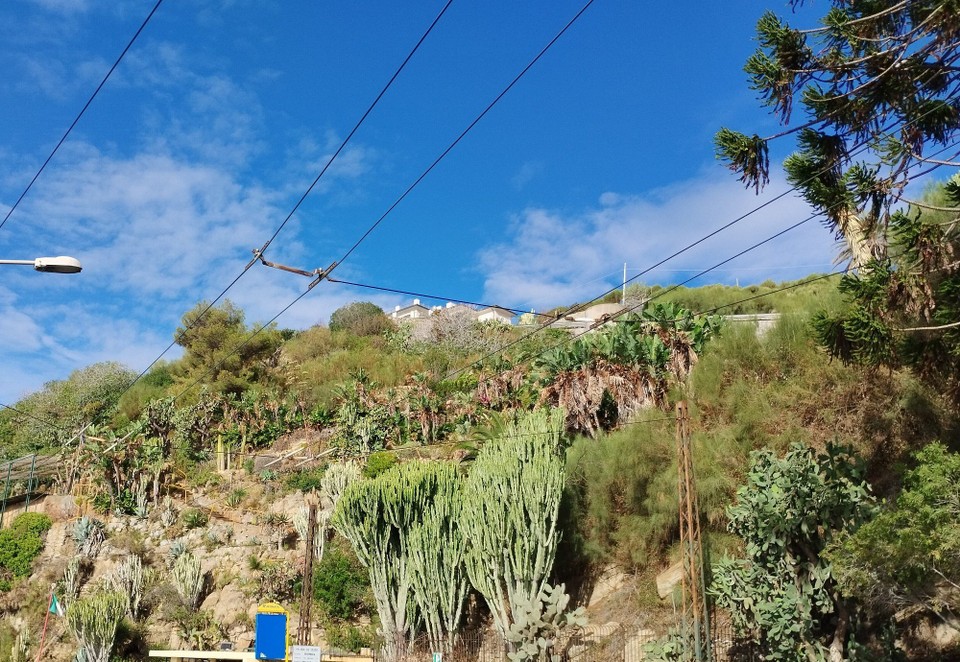 Monaco - Monaco-Ville - Boridghera