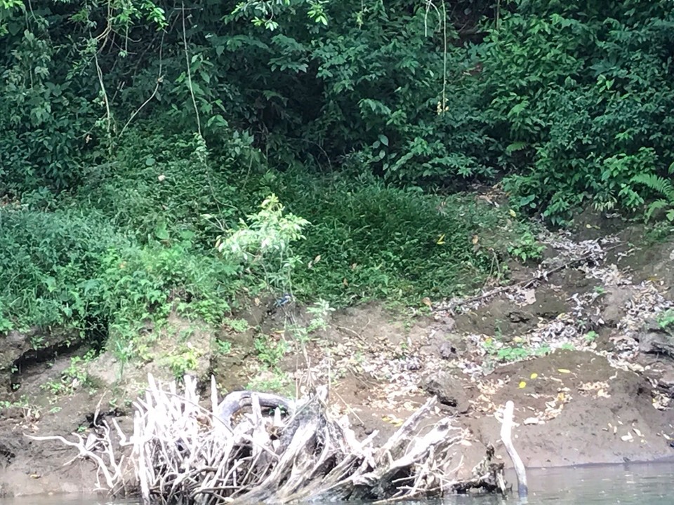 Costa Rica - Paraiso - 